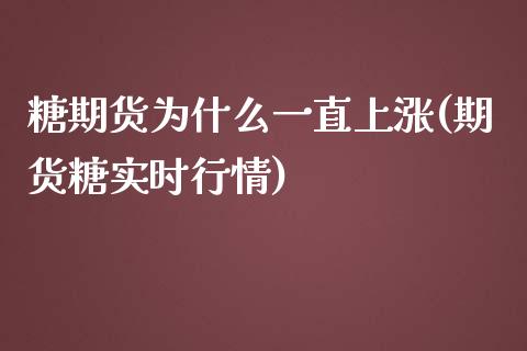 糖期货为什么一直上涨(期货糖实时行情)