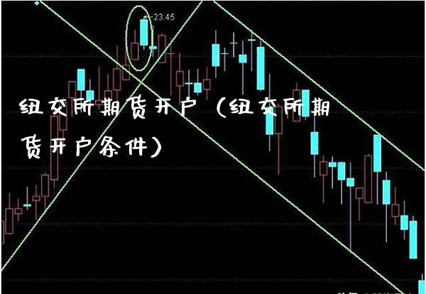 纽交所期货开户（纽交所期货开户条件）_https://www.boyangwujin.com_纳指期货_第1张