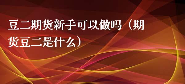 豆二期货新手可以做吗（期货豆二是什么）_https://www.boyangwujin.com_原油期货_第1张