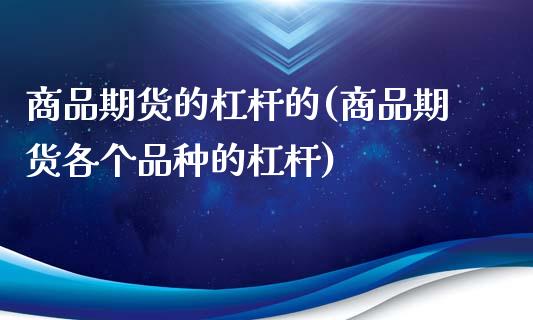 商品期货的杠杆的(商品期货各个品种的杠杆)_https://www.boyangwujin.com_期货直播间_第1张