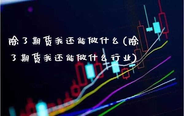 除了期货我还能做什么(除了期货我还能做什么行业)