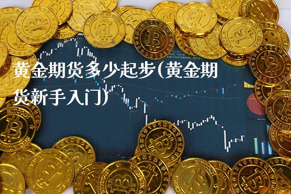 黄金期货多少起步(黄金期货新手入门)