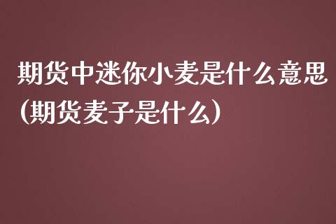 期货中迷你小麦是什么意思(期货麦子是什么)