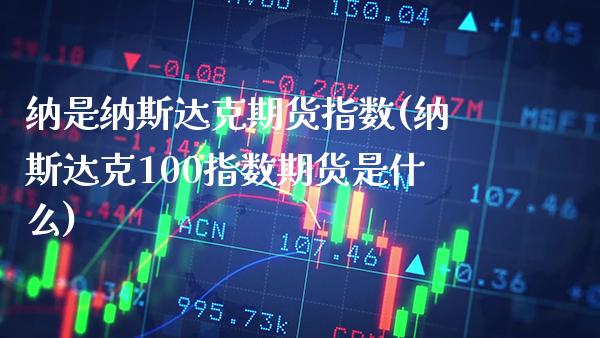 纳是纳斯达克期货指数(纳斯达克100指数期货是什么)