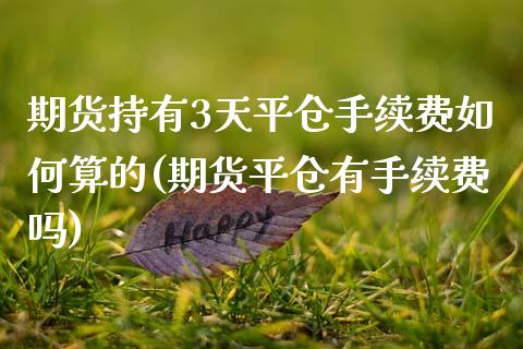 期货持有3天平仓手续费如何算的(期货平仓有手续费吗)_https://www.boyangwujin.com_纳指期货_第1张