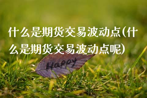 什么是期货交易波动点(什么是期货交易波动点呢)_https://www.boyangwujin.com_原油期货_第1张