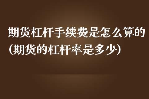 期货杠杆手续费是怎么算的(期货的杠杆率是多少)_https://www.boyangwujin.com_恒指直播间_第1张