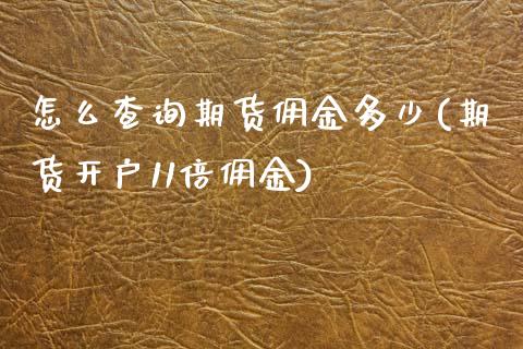 怎么查询期货佣金多少(期货开户11倍佣金)