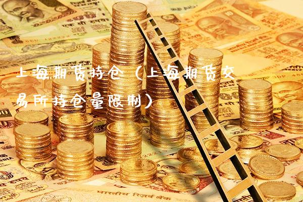 上海期货持仓（上海期货交易所持仓量限制）_https://www.boyangwujin.com_恒指直播间_第1张