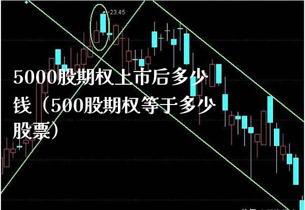 5000股期权上市后多少钱（500股期权等于多少股票）