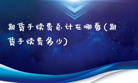 期货手续费总计在哪看(期货手续费多少)