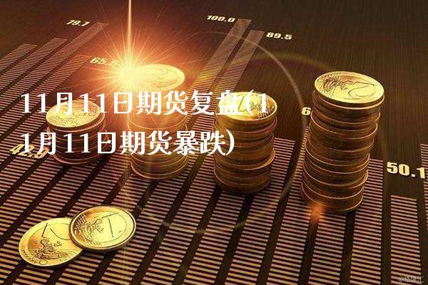 11月11日期货复盘(11月11日期货暴跌)_https://www.boyangwujin.com_期货直播间_第1张