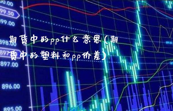 期货中的pp什么意思(期货中的塑料和pp价差)_https://www.boyangwujin.com_纳指期货_第1张