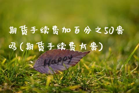 期货手续费加百分之50贵吗(期货手续费太贵)