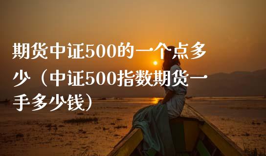 期货中证500的一个点多少（中证500指数期货一手多少钱）