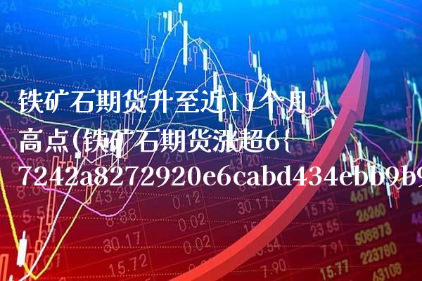 铁矿石期货升至近11个月高点(铁矿石期货涨超6%)