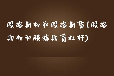 股指期权和股指期货(股指期权和股指期货杠杆)