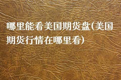 哪里能看美国期货盘(美国期货行情在哪里看)