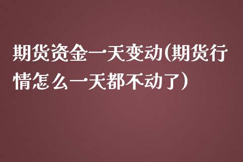 期货资金一天变动(期货行情怎么一天都不动了)