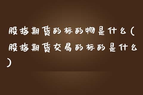 股指期货的标的物是什么(股指期货交易的标的是什么)