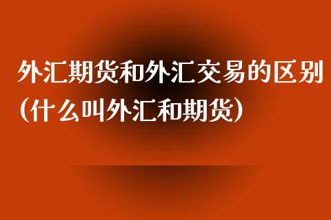 外汇期货和外汇交易的区别(什么叫外汇和期货)