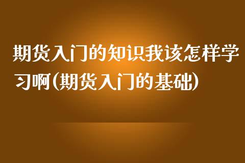 期货入门的知识我该怎样学习啊(期货入门的基础)