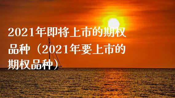 2021年即将上市的期权品种（2021年要上市的期权品种）