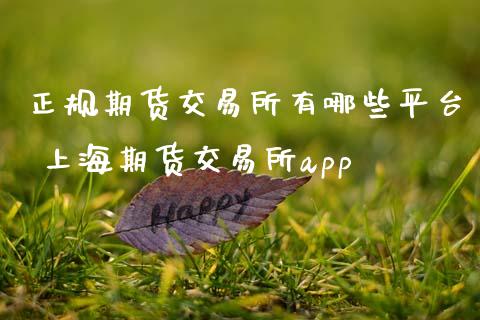 正规期货交易所有哪些平台 上海期货交易所app_https://www.boyangwujin.com_黄金期货_第1张