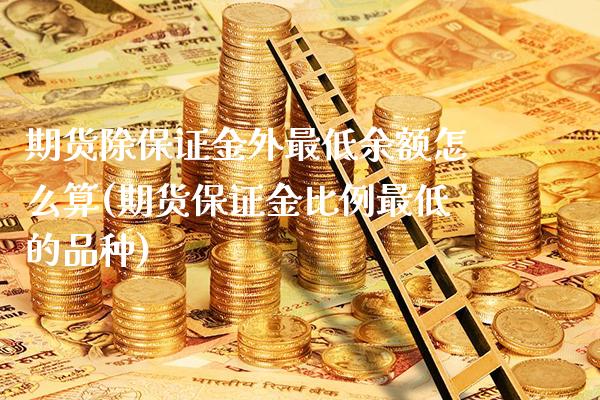 期货除保证金外最低余额怎么算(期货保证金比例最低的品种)