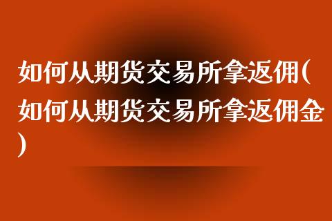 如何从期货交易所拿返佣(如何从期货交易所拿返佣金)