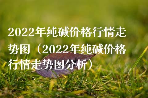 2022年纯碱价格行情走势图（2022年纯碱价格行情走势图分析）