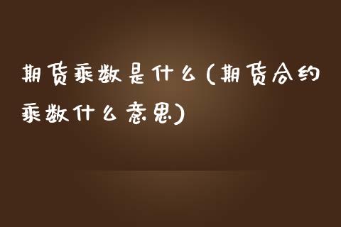 期货乘数是什么(期货合约乘数什么意思)_https://www.boyangwujin.com_纳指期货_第1张