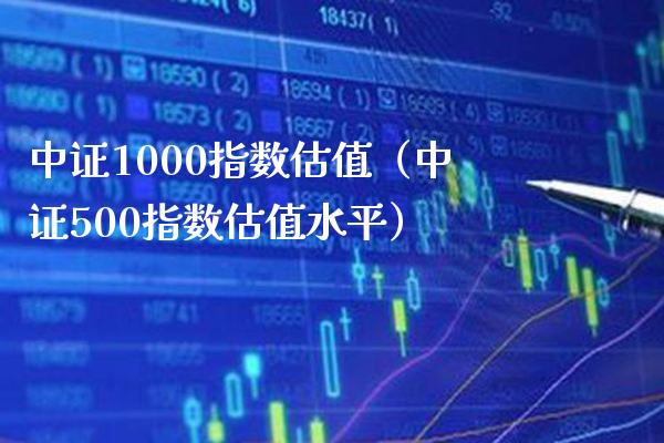 中证1000指数估值（中证500指数估值水平）