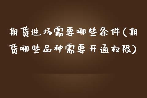 期货进场需要哪些条件(期货哪些品种需要开通权限)_https://www.boyangwujin.com_恒指期货_第1张