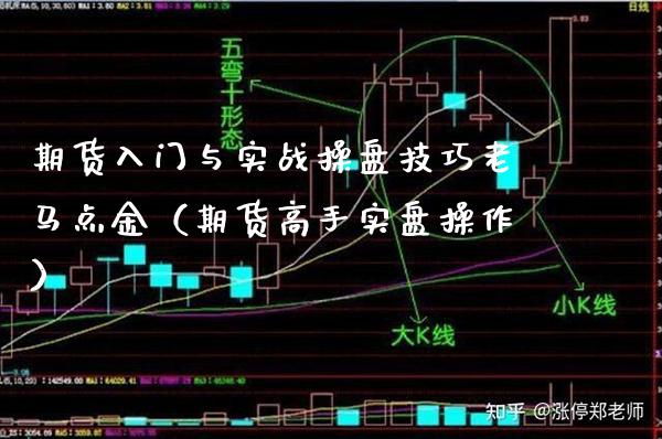 期货入门与实战操盘技巧老马点金（期货高手实盘操作）