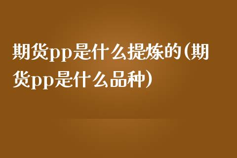 期货pp是什么提炼的(期货pp是什么品种)