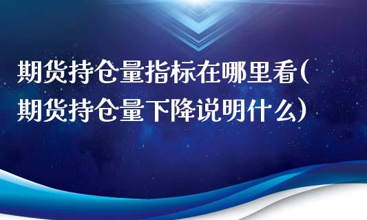 期货持仓量指标在哪里看(期货持仓量下降说明什么)