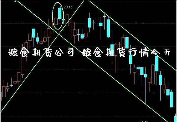 粮食期货公司 粮食期货行情今天