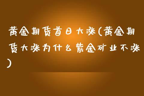 黄金期货首日大涨(黄金期货大涨为什么紫金矿业不涨)