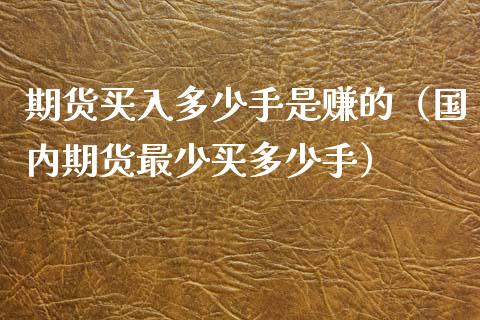 期货买入多少手是赚的（国内期货最少买多少手）_https://www.boyangwujin.com_期货直播间_第1张