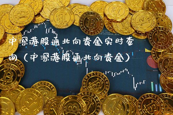 沪深港股通北向资金实时查询（沪深港股通北向资金）