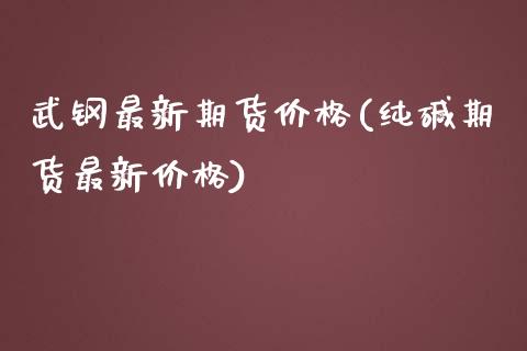 武钢最新期货价格(纯碱期货最新价格)