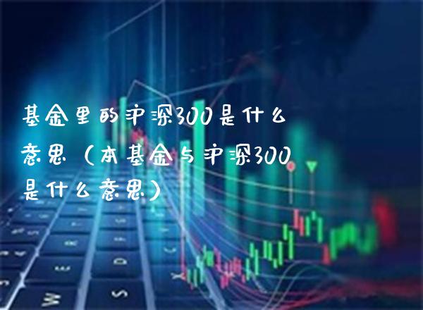 基金里的沪深300是什么意思（本基金与沪深300是什么意思）