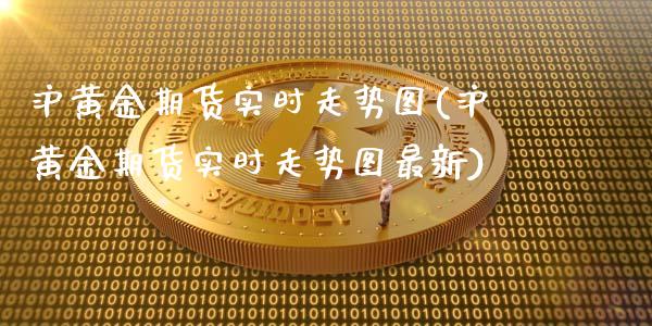 沪黄金期货实时走势图(沪黄金期货实时走势图最新)