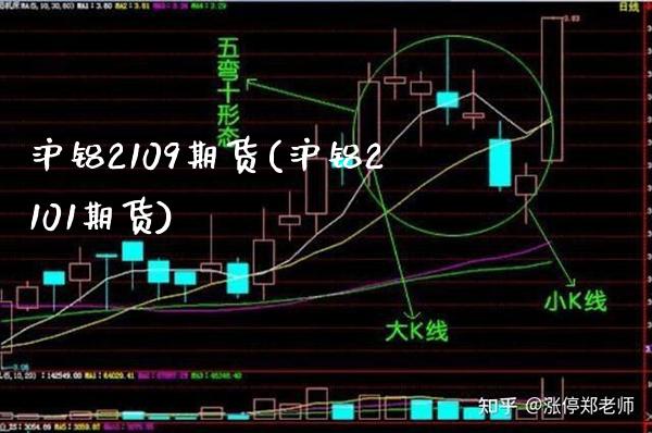 沪铝2109期货(沪铝2101期货)_https://www.boyangwujin.com_期货直播间_第1张