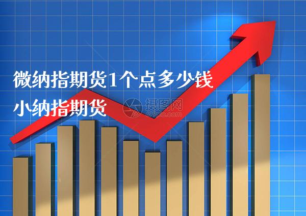 微纳指期货1个点多少钱 小纳指期货_https://www.boyangwujin.com_纳指期货_第1张