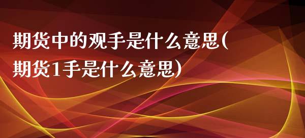 期货中的观手是什么意思(期货1手是什么意思)