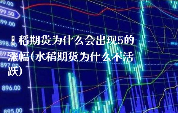 籼稻期货为什么会出现5的涨幅(水稻期货为什么不活跃)