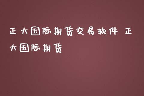 正大国际期货交易软件 正大国际期货