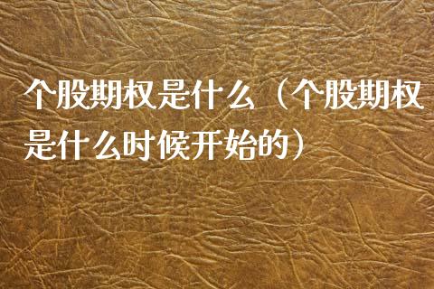 个股期权是什么（个股期权是什么时候开始的）_https://www.boyangwujin.com_黄金期货_第1张